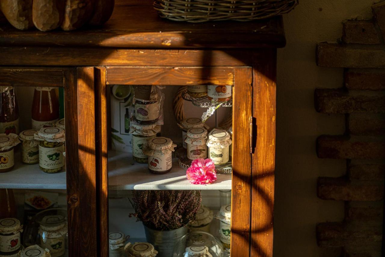 Agriturismo Ca Nuova Minerbio المظهر الخارجي الصورة