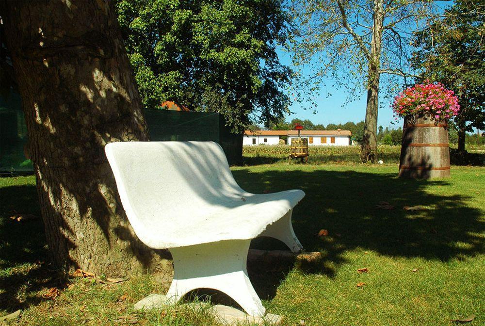 Agriturismo Ca Nuova Minerbio المظهر الخارجي الصورة